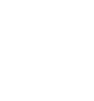 مرسوم لتقنيات الويب